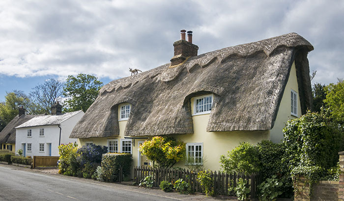 What Maintenance Does a Thatched Roof Need?