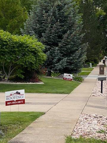 Political campaign sign on sidewalk: "We Do Roofing in Salt Lake City Utah" contact information.