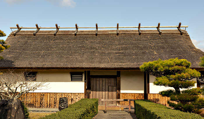 What Maintenance Does a Thatched Roof Need?